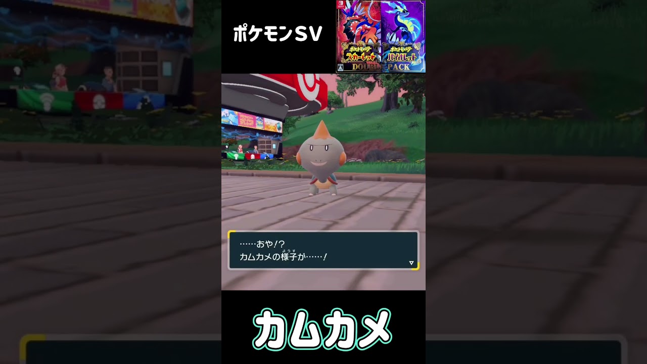 カムカメ進化　カジリガメ　ポケモンSV