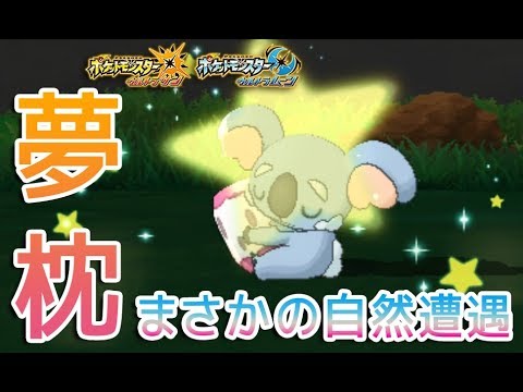 【ポケモンUSUM】色違いネッコアラをGETしてみた【3/4096】