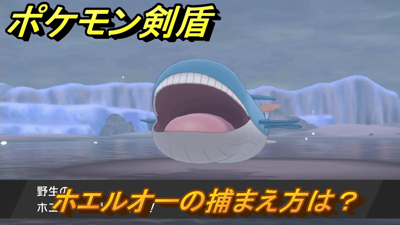 ポケモン剣盾　ホエルオーの出現場所は？オススメの場所は？天気は？ポケモン図鑑コンプへの道！　最新版【ポケモンソード・シールド】