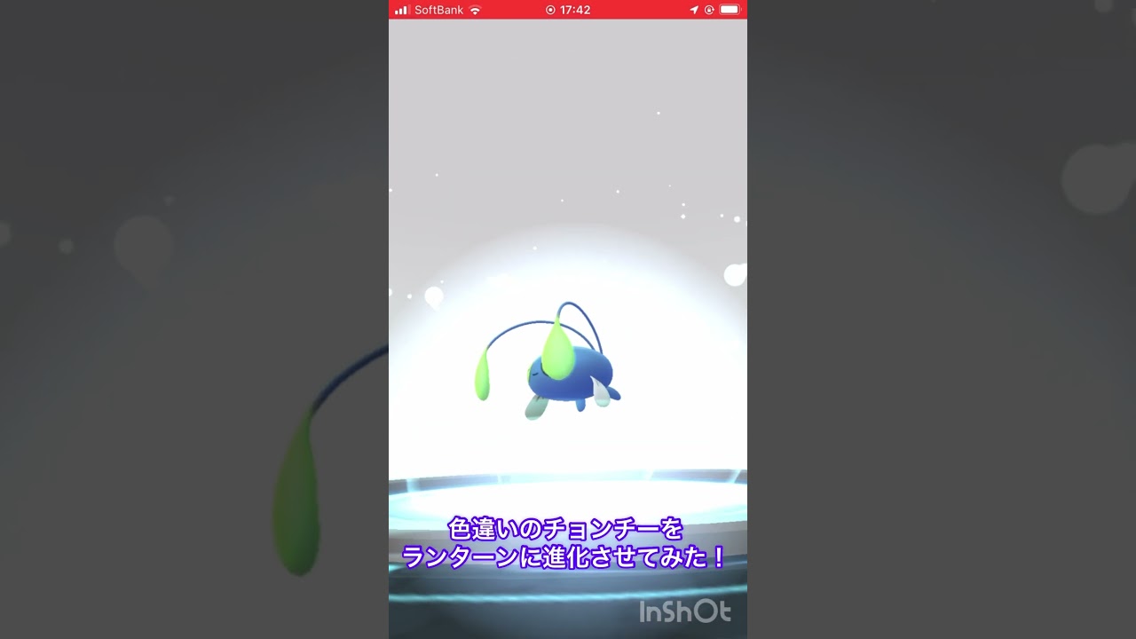 色違いのチョンチーをランターンに進化させてみた！ #ポケモンgo #pokemongo #色違い #shorts