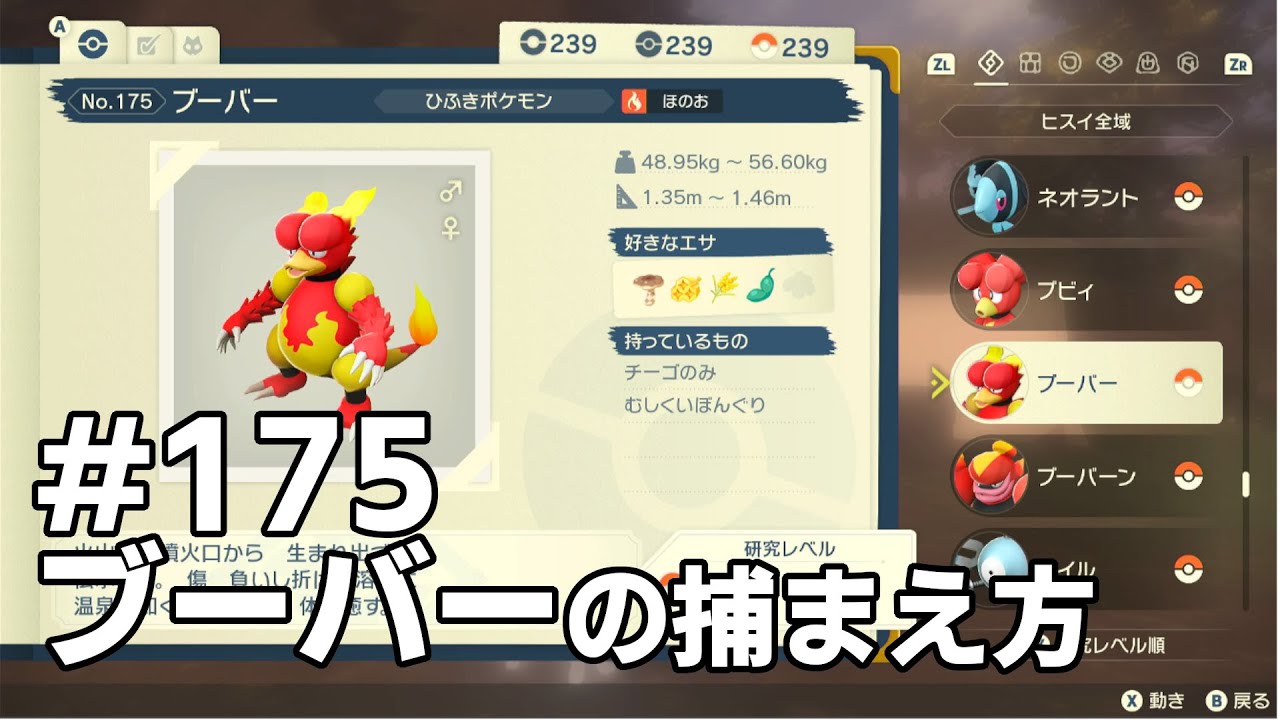 ブーバーを探している方に見てほしい動画