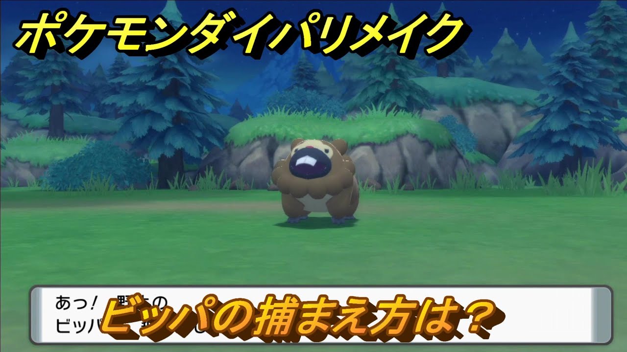 ポケモンダイパリメイク　ビッパの捕まえ方は？出現場所は？　最新版【ブリリアントダイヤモンド・シャイニングパール】