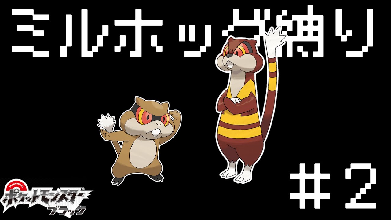 【ミルホッグ縛り】でクリアするぞ！！＃２【BW】