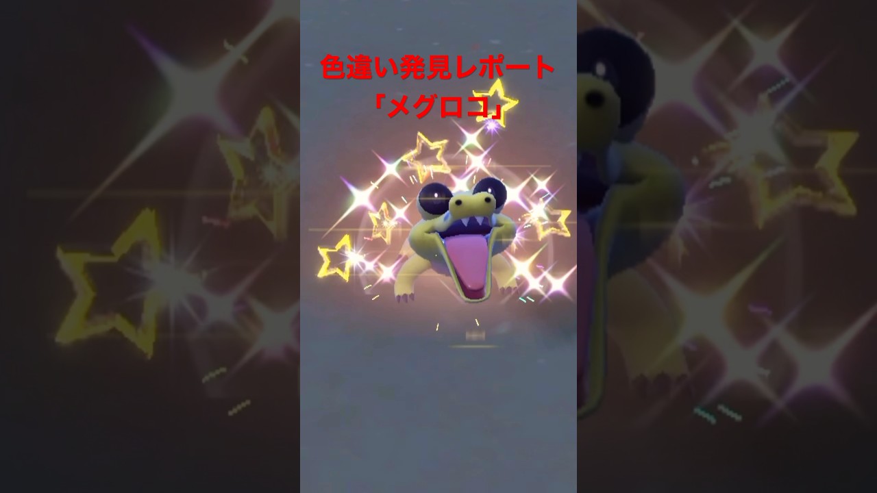 ポケモンSV色違い発見レポート「メグロコ」