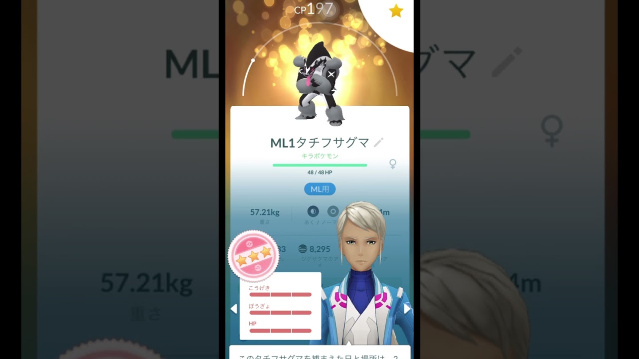 キラ個体値100%タチフサグマ(ガラルジグザグマ)MAX強化！