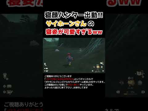 サイホーンさんの「寝姿」が可愛すぎるww【Pokémon LEGENDS アルセウス】【寝顔ハンター】
