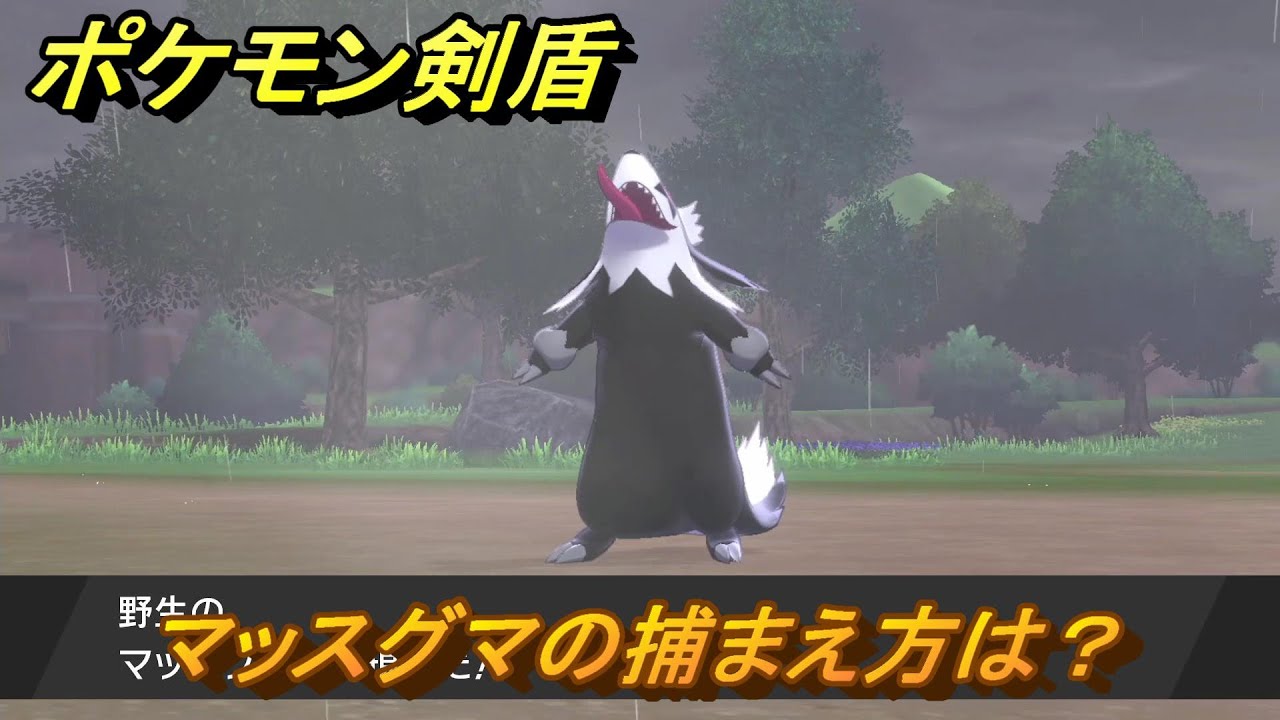 ポケモン剣盾　マッスグマの出現場所は？オススメの場所は？天気は？ポケモン図鑑コンプへの道！　最新版【ポケモンソード・シールド】