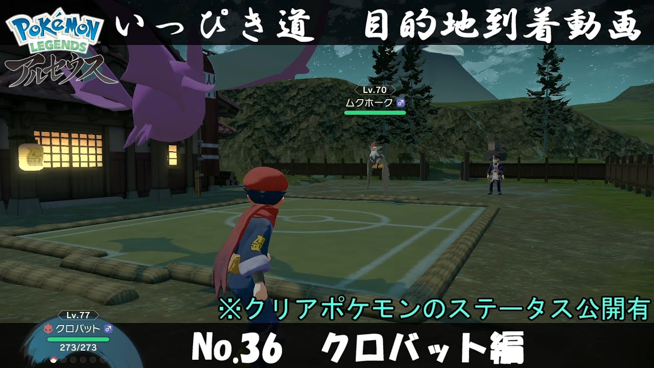 【いっぴき道攻略】No.36 クロバット編【Pokémon LEGENDS アルセウス】