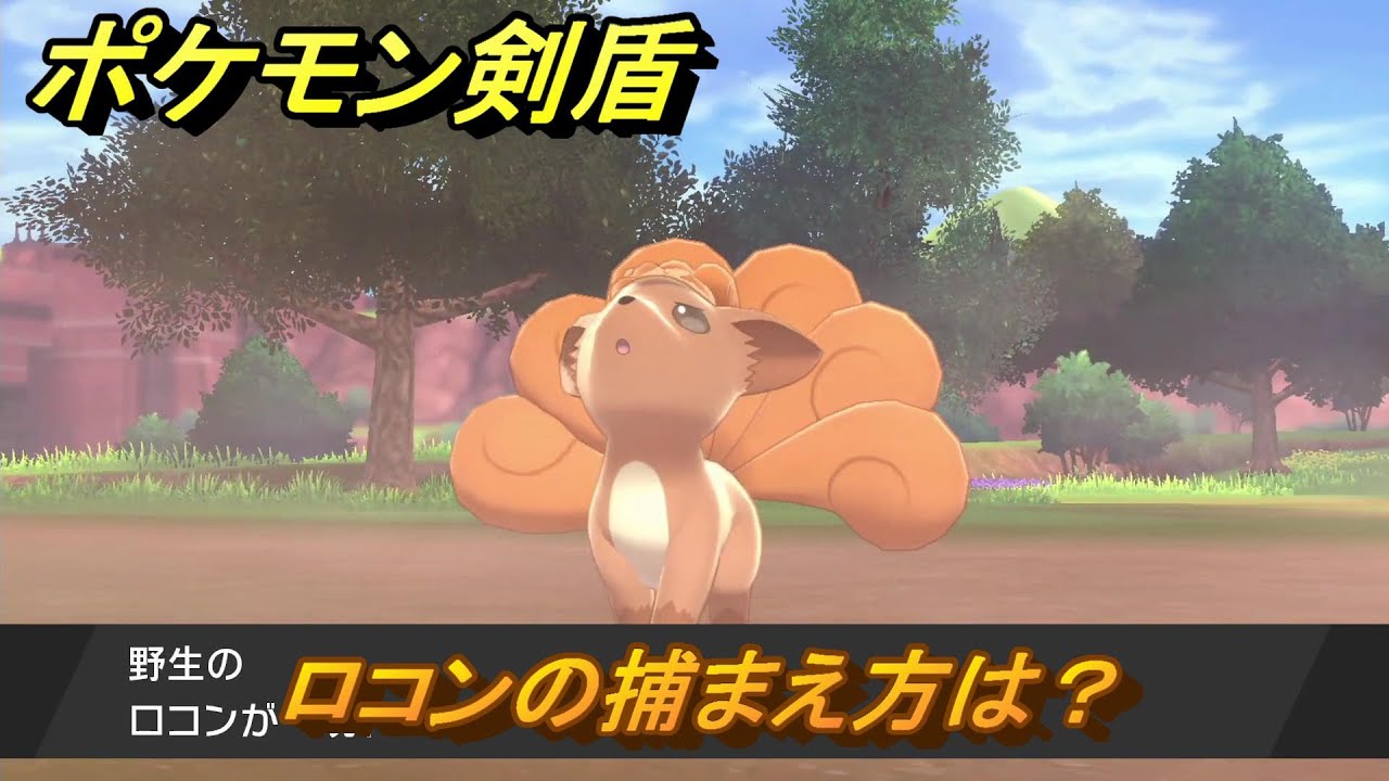 ポケモン剣盾　ロコンの出現場所は？オススメの場所は？天気は？ポケモン図鑑コンプへの道！　最新版【ポケモンソード・シールド】