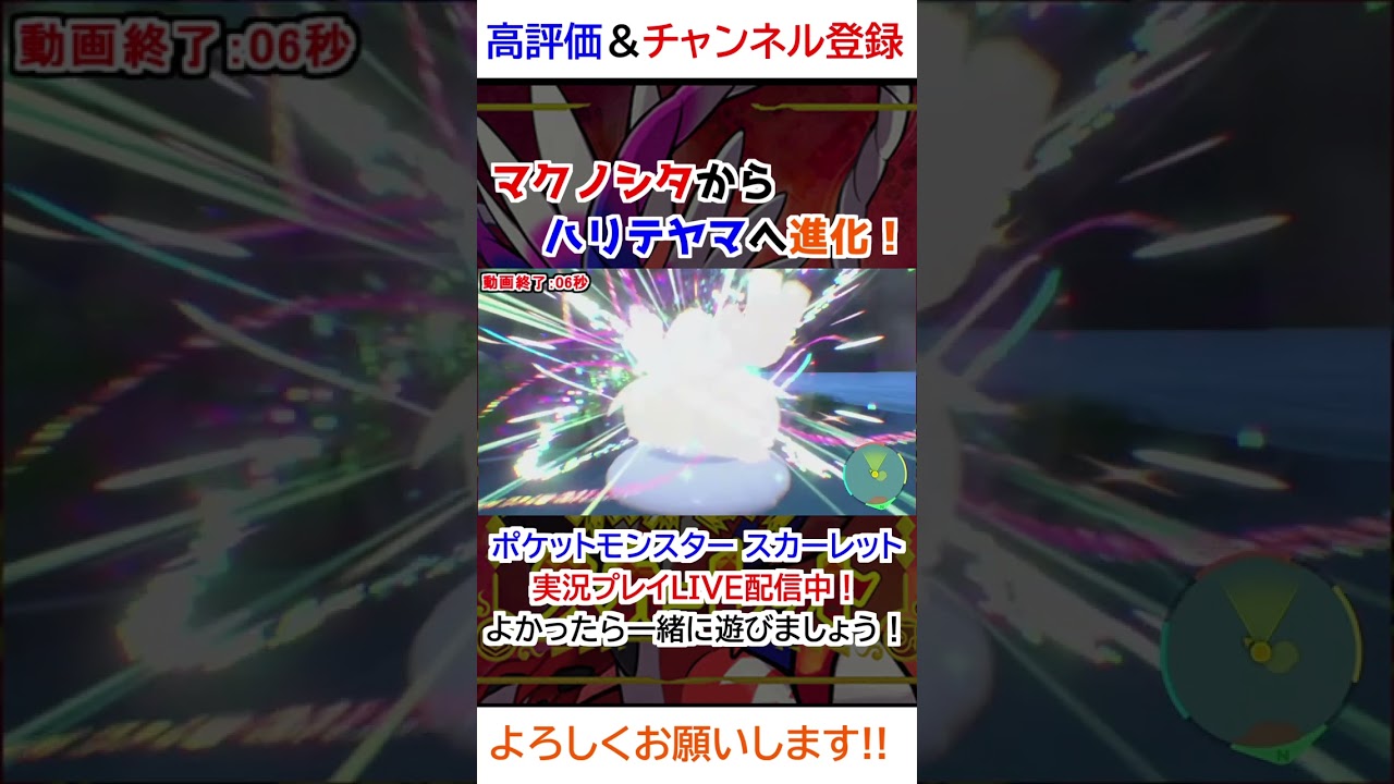 マクノシタ→ハリテヤマ進化【ポケモンSV】
