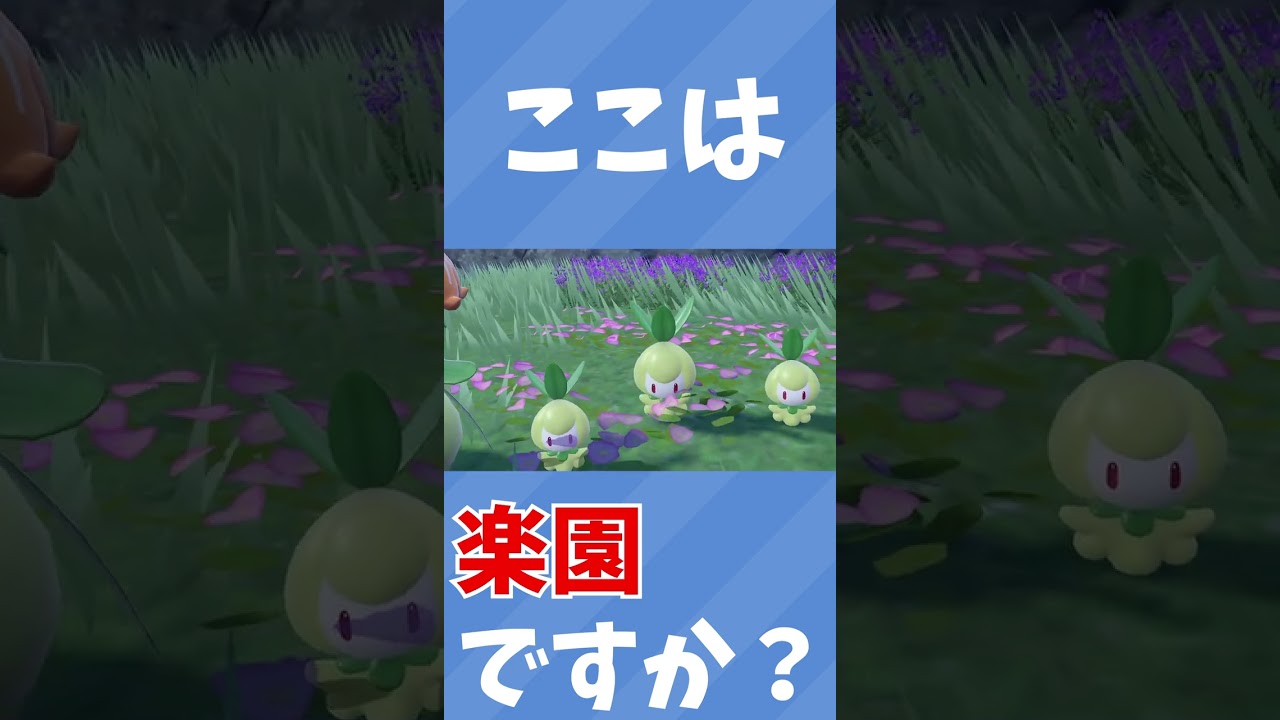 滅多に遭遇しない野生のドレディアとチュリネが可愛すぎる件について【ポケモンSV】#Shorts