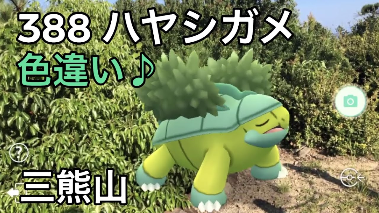 【ポケGO動くポケモンずかん】388ハヤシガメ｜Grotle｜ShinyPokémon ｜三熊山｜PokemonGOCommunityDay｜AR動画｜PoKeMoN GO AR