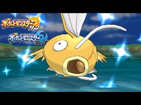コイキングに負けた男。【ポケモンSM(サン ムーン)S6#33】