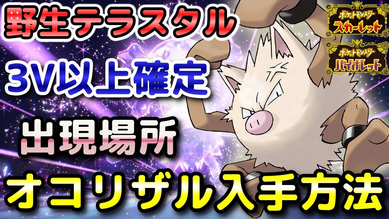 【ポケモンSV】オコリザル（野生テラスタル）入手方法！固定シンボル出現場所！3V以上確定でコノヨザルに進化させて育成しやすい！【スカーレット・バイオレット】