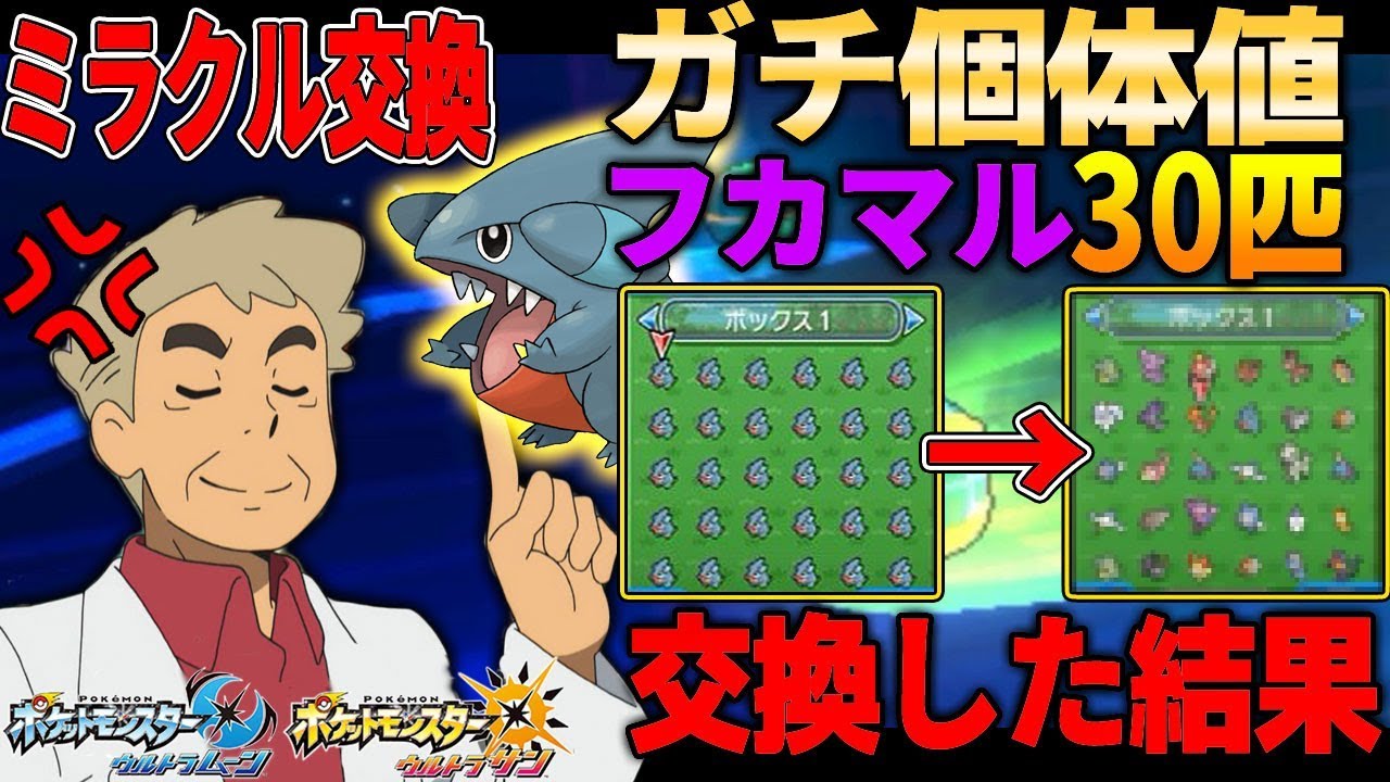 【ポケモンUSUM】30体のフカマル高個体値をミラクル交換に流したらどうなるか検証してみた!!オーキド博士のポケモン実況【柊みゅうの実況】