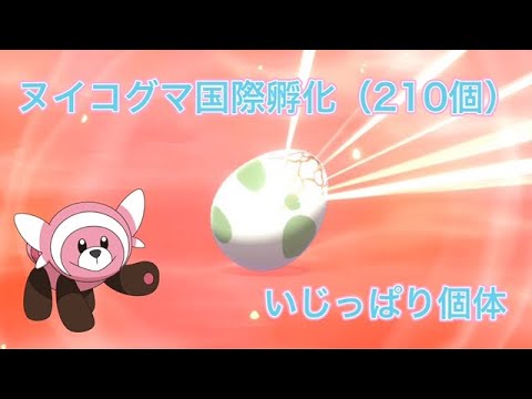 【ポケモン剣盾】国際孵化（色ヌイコグマ狙い）