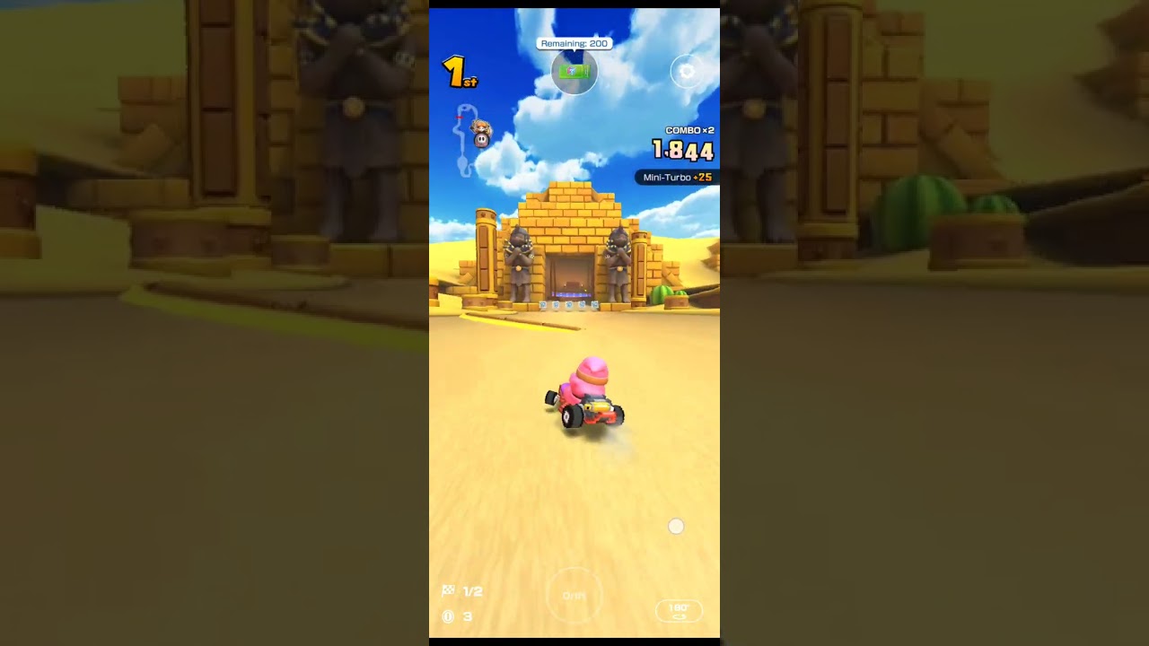 Wii カラカラいせき【マリオカートツアー】