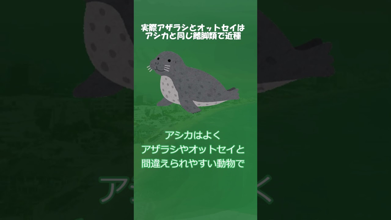 ずんだもんのポケモン元ネタ解説　アシマリ#Shorts