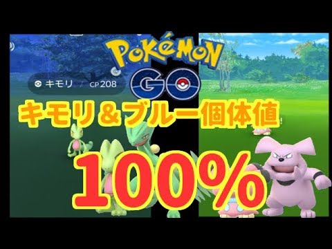 【ポケモンGO】キモリ＆ブルー個体値MAX100%発見♪【PokemonGO】