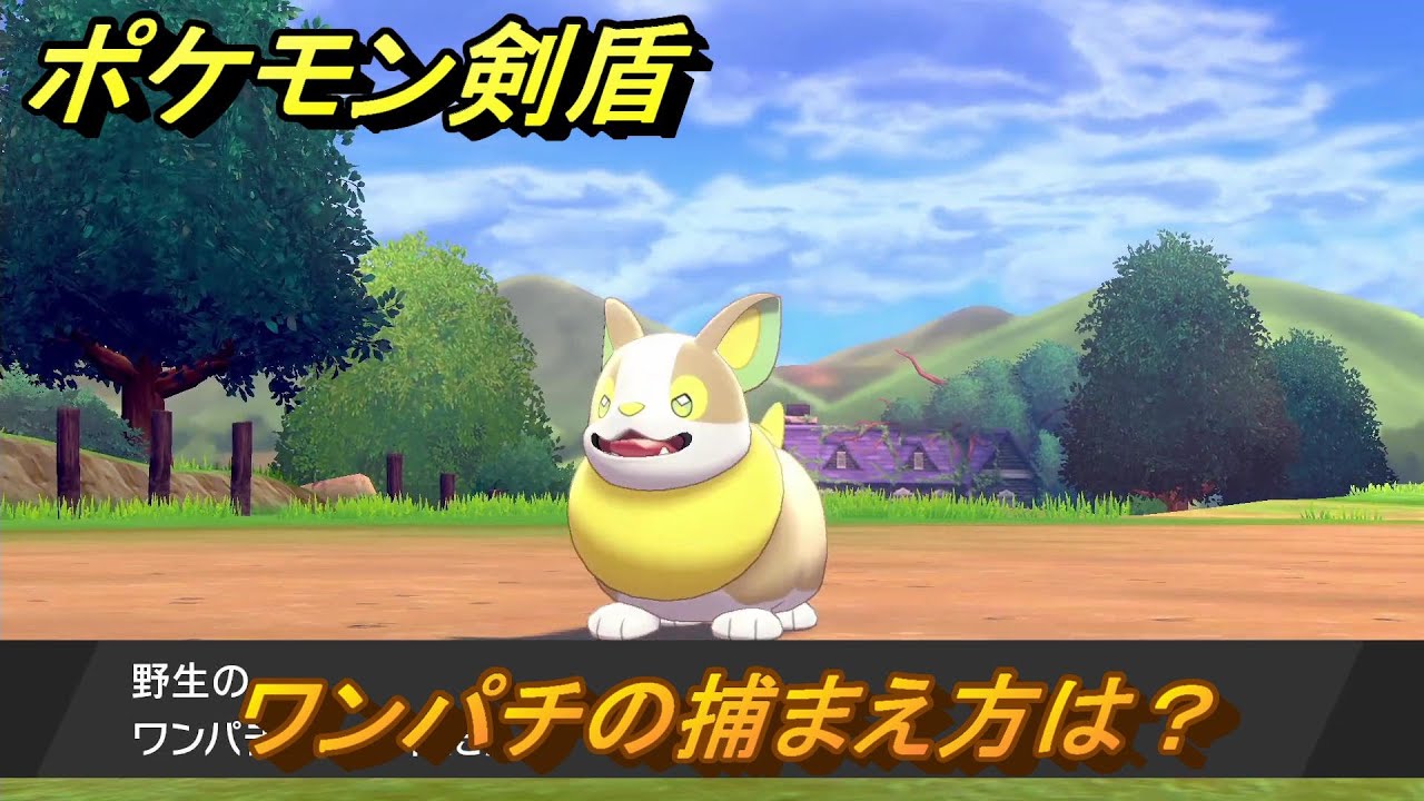 ポケモン剣盾　ワンパチの出現場所は？オススメの場所は？天気は？ポケモン図鑑コンプへの道！　最新版【ポケモンソード・シールド】