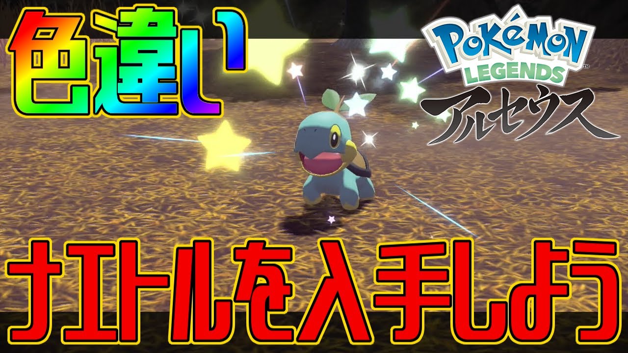 【ポケモンアルセウス】色違いナエトルを入手しよう【Pokémon LEGENDS アルセウス】