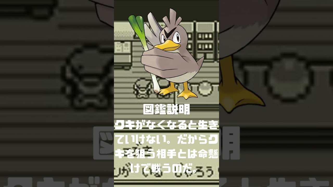 Ｎｏ．0083 カモネギ【ポケモン図鑑】 #shorts   #ポケモン　#pokemon