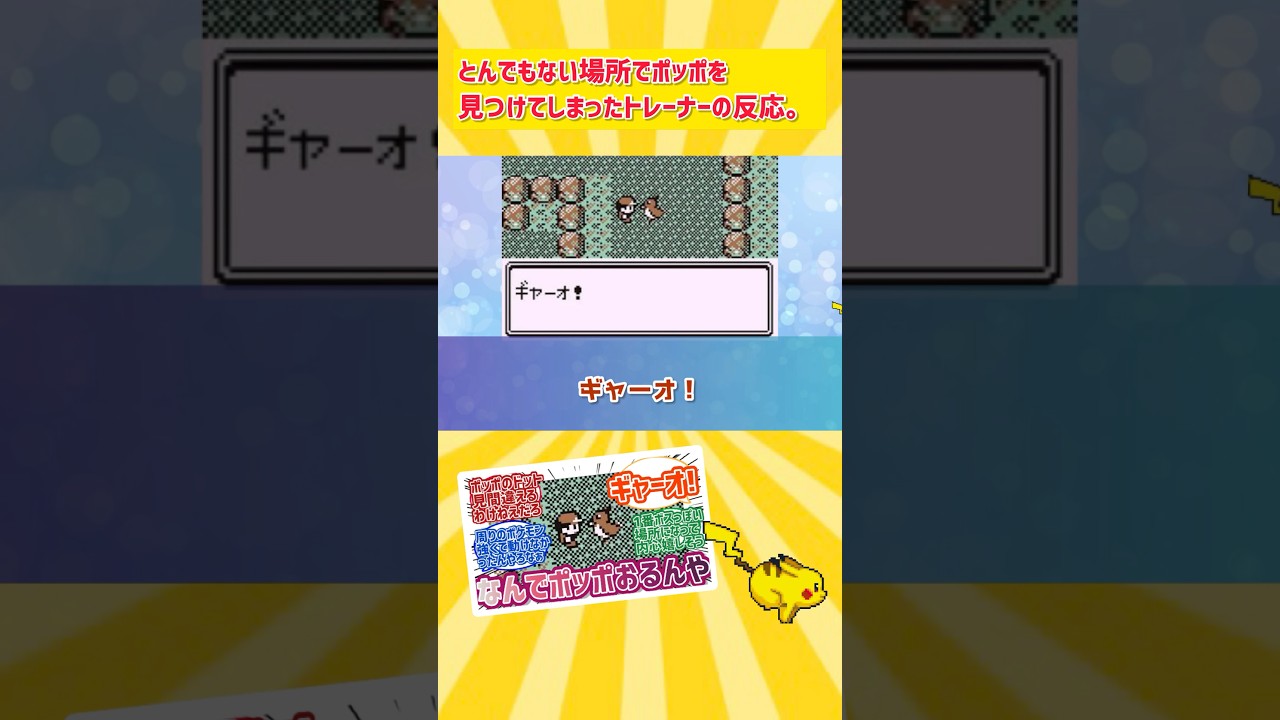 【ポケモン】とんでもない場所でポッポを見つけてしまったトレーナーの反応まとめ