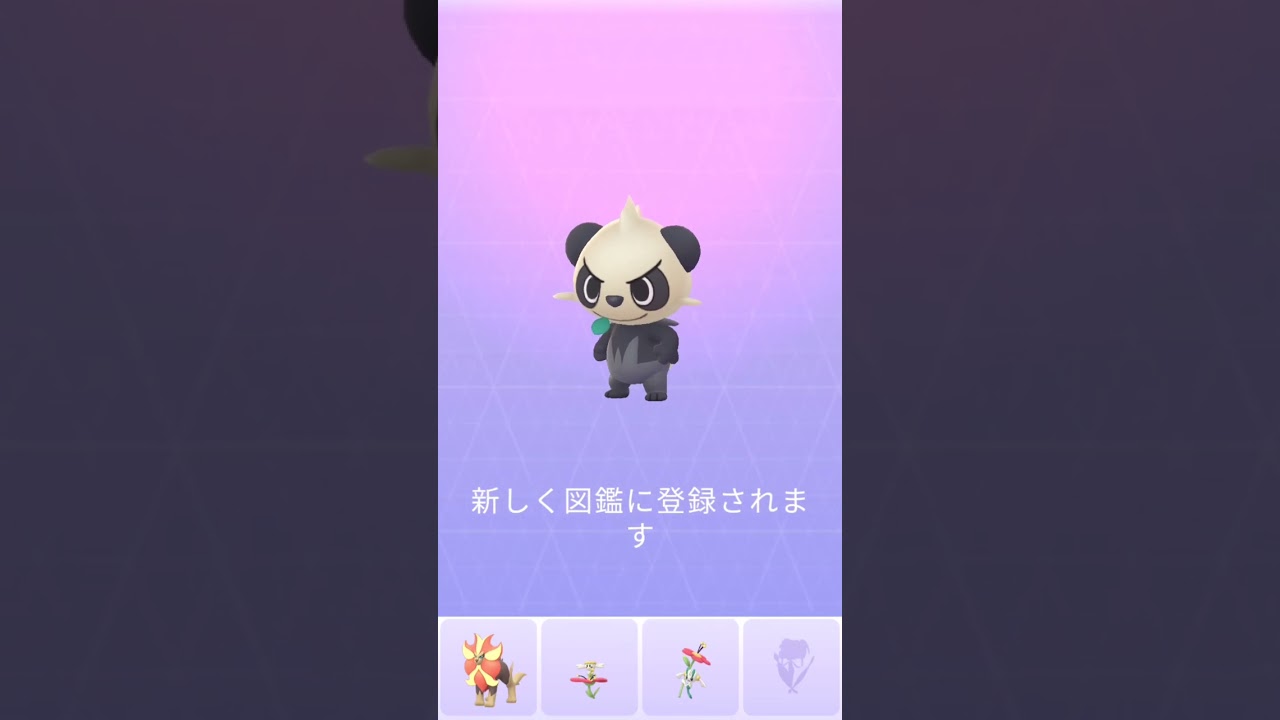 【ポケモンGO】ヤンチャム　ゲット　12kmのたまごから出ました　pokemon