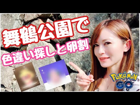 【ポケモンGO】舞鶴公園で卵割りながら、ラクライ色ち探し！！