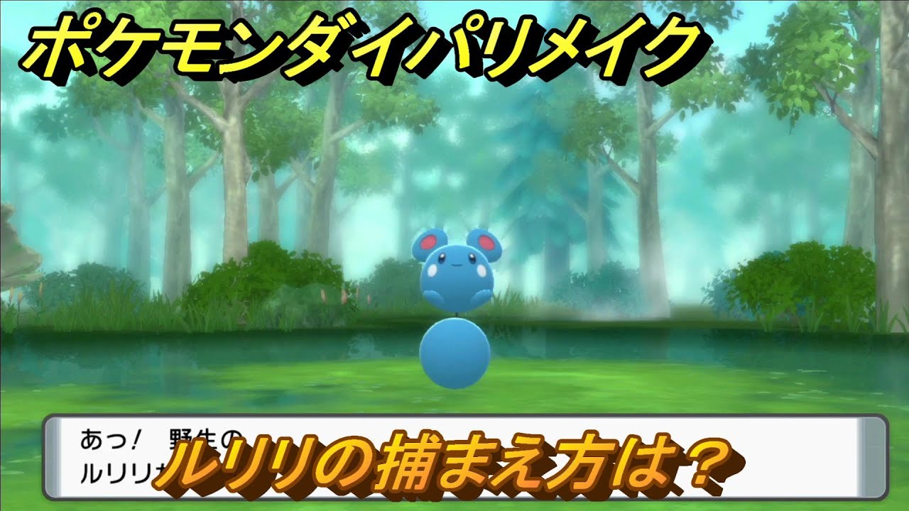 ポケモンダイパリメイク　ルリリの捕まえ方は？出現場所は？　最新版【ブリリアントダイヤモンド・シャイニングパール】