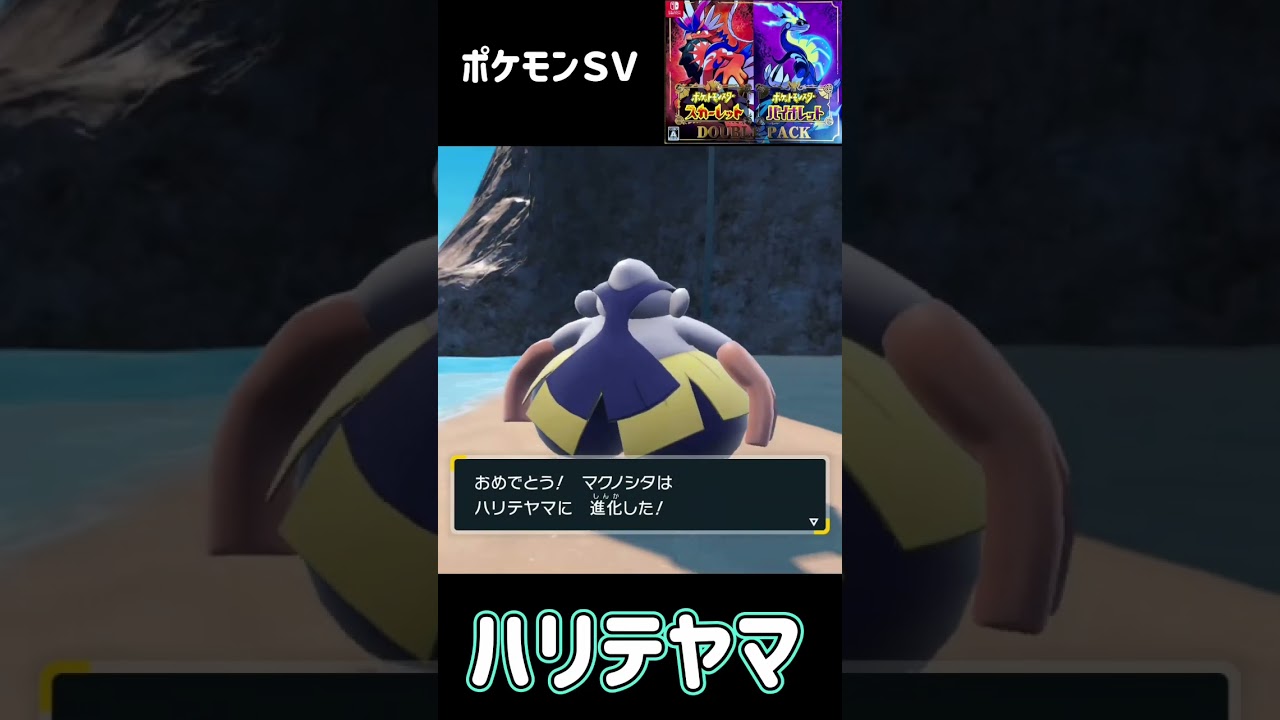 マクノシタ進化　ハリテヤマ　ポケモンSV #pokemon