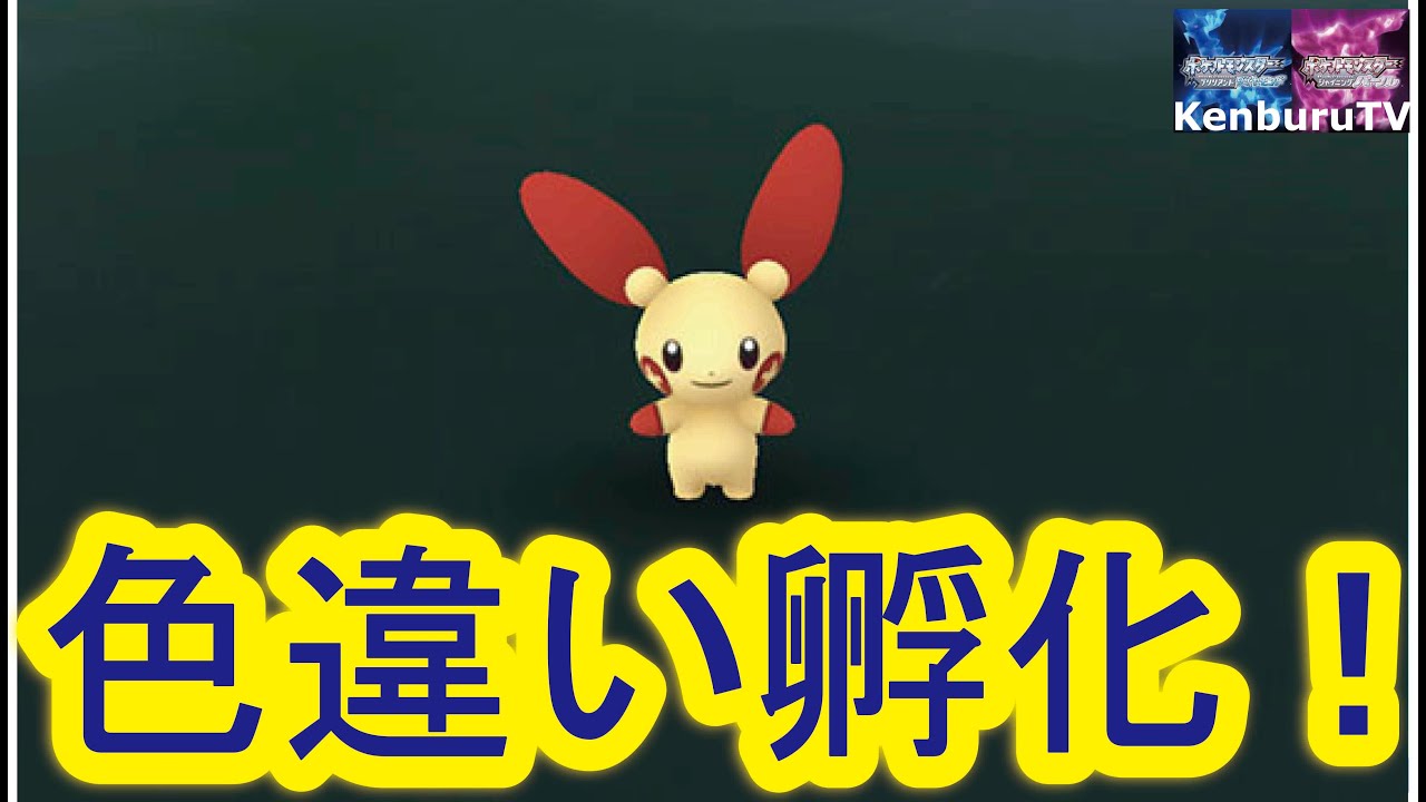 【＃ポケモンシャイニングパール】プラスル配布も！？色違いプラスルをタマゴ孵化でゲットしようライブ配信！時間があれば地下洞窟も！