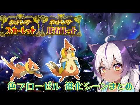 【ポケモンSV】色違いブイゼル → フローゼル【ポケットモンスタースカーレットヴァイオレット】