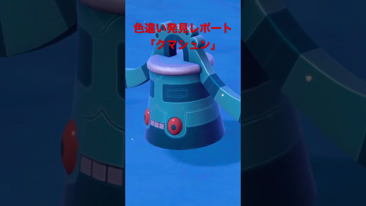 ポケモンSV色違い発見レポート「クマシュン」