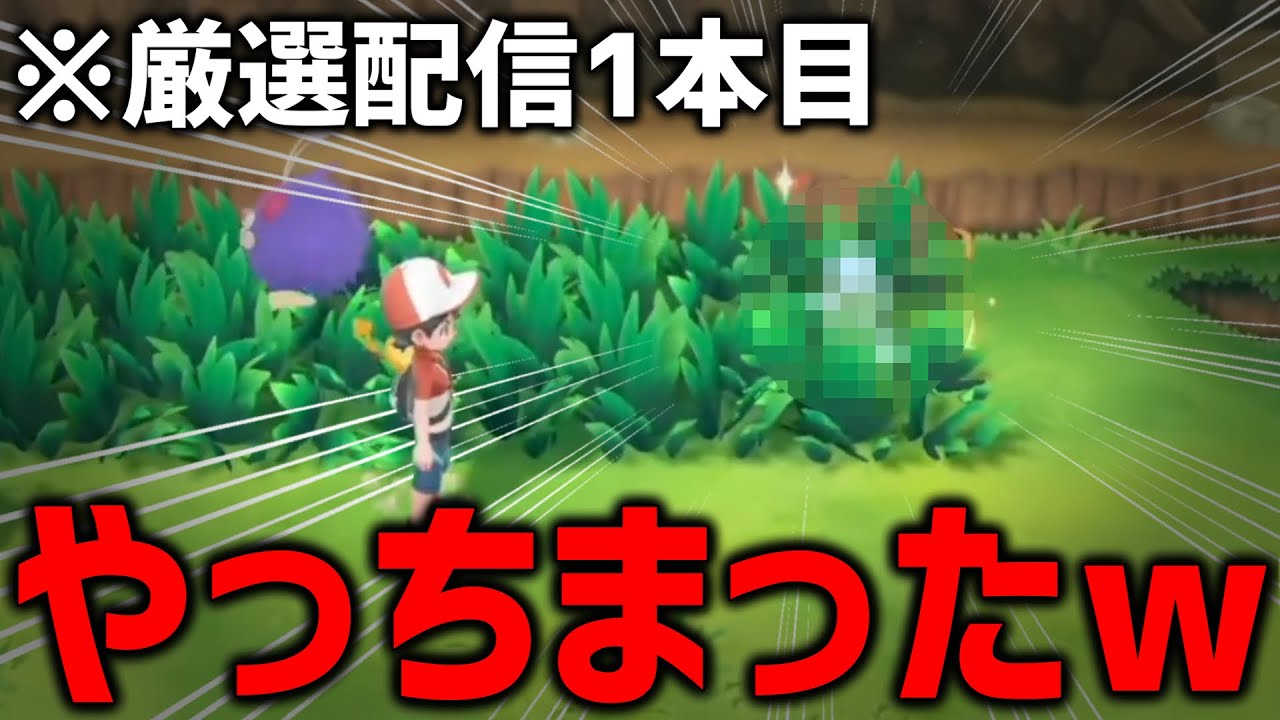 【注意】色違いコレクターの末路がこちら