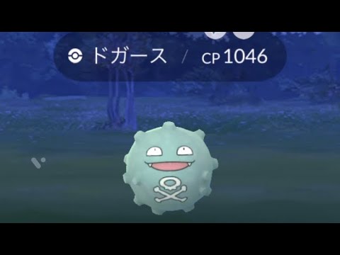 通りすがりのドガース色違い🎉