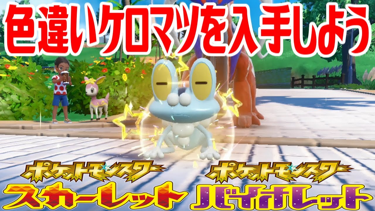 【ポケモンSV】色違いケロマツを入手しよう タマゴふか(タマゴ孵化)【ポケットモンスター スカーレット・バイオレット】Pocket Monsters