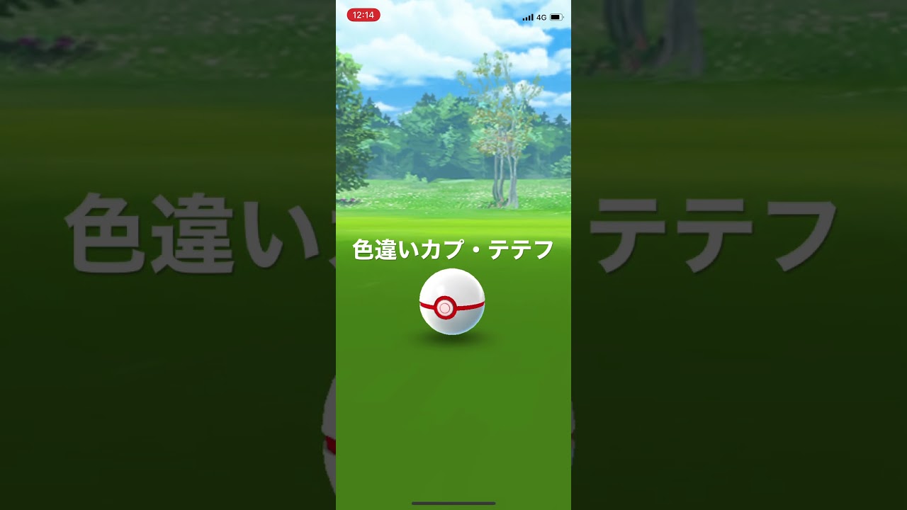 ポケモンGO 色違いカプ・テテフ出現！ #pokémon #ポケットモンスター