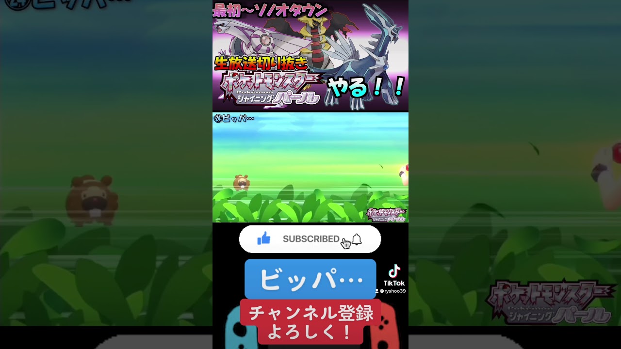 ビッパ…【ポケモンソード・シールド：メインストーリー編 ゲーム実況＆攻略】