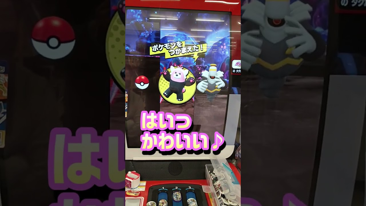 【メザスタ】キテルグマに夢中🌸大きな岩はSS?　#shorts