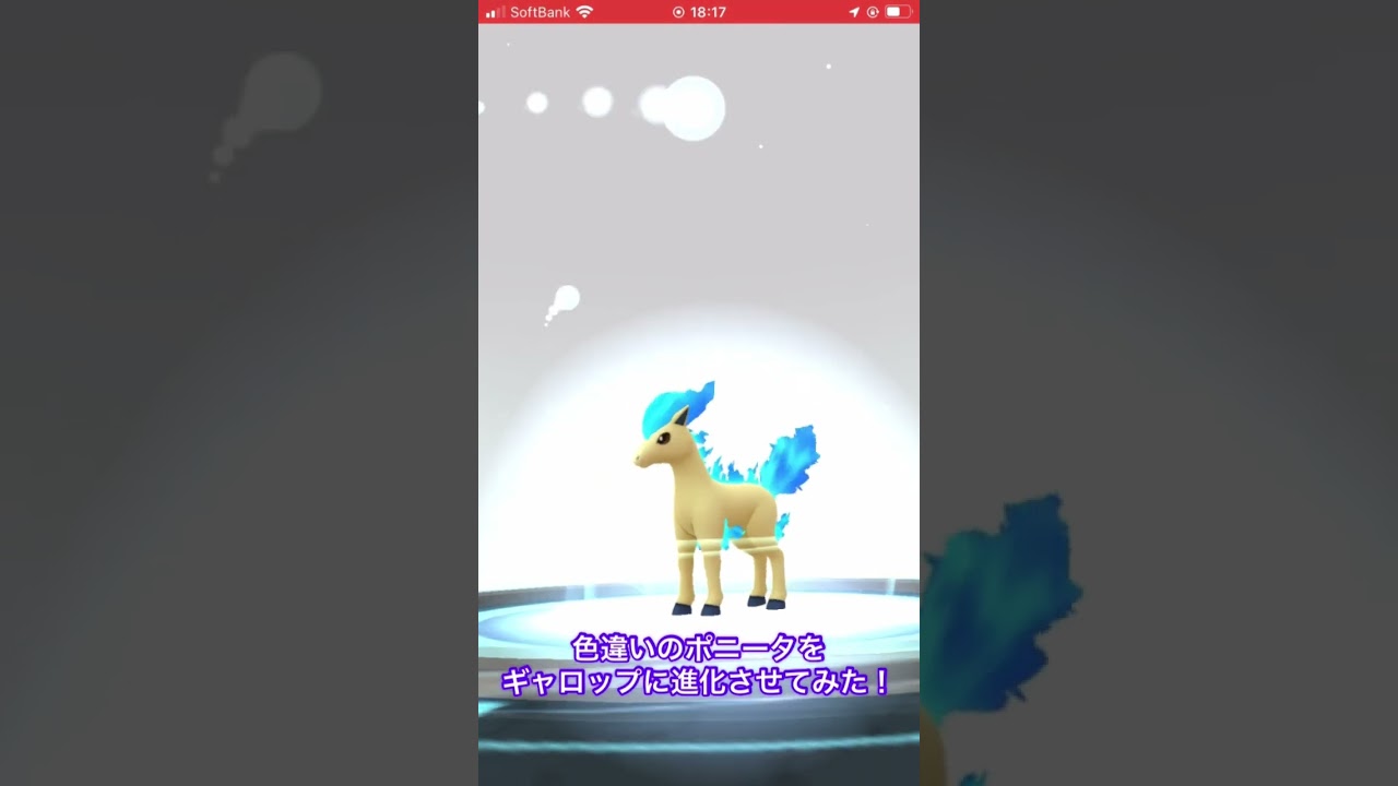 色違いのポニータをギャロップに進化させてみた！ #ポケモンgo #色違い