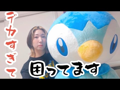 【くそデカい】とってもおっきいポッチャマぬいぐるみが届きました！！！！プロジェクトポッチャマ