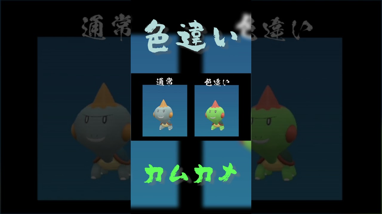 色違いカムカメの見分け方【ポケモンSV】 #shorts