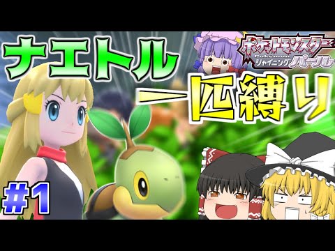 【ポケモンダイパリメイク】シンオウ御三家最弱!?ナエトル1匹縛りで殿堂入りを目指す！！【ゆっくり実況】【BDSP#1】