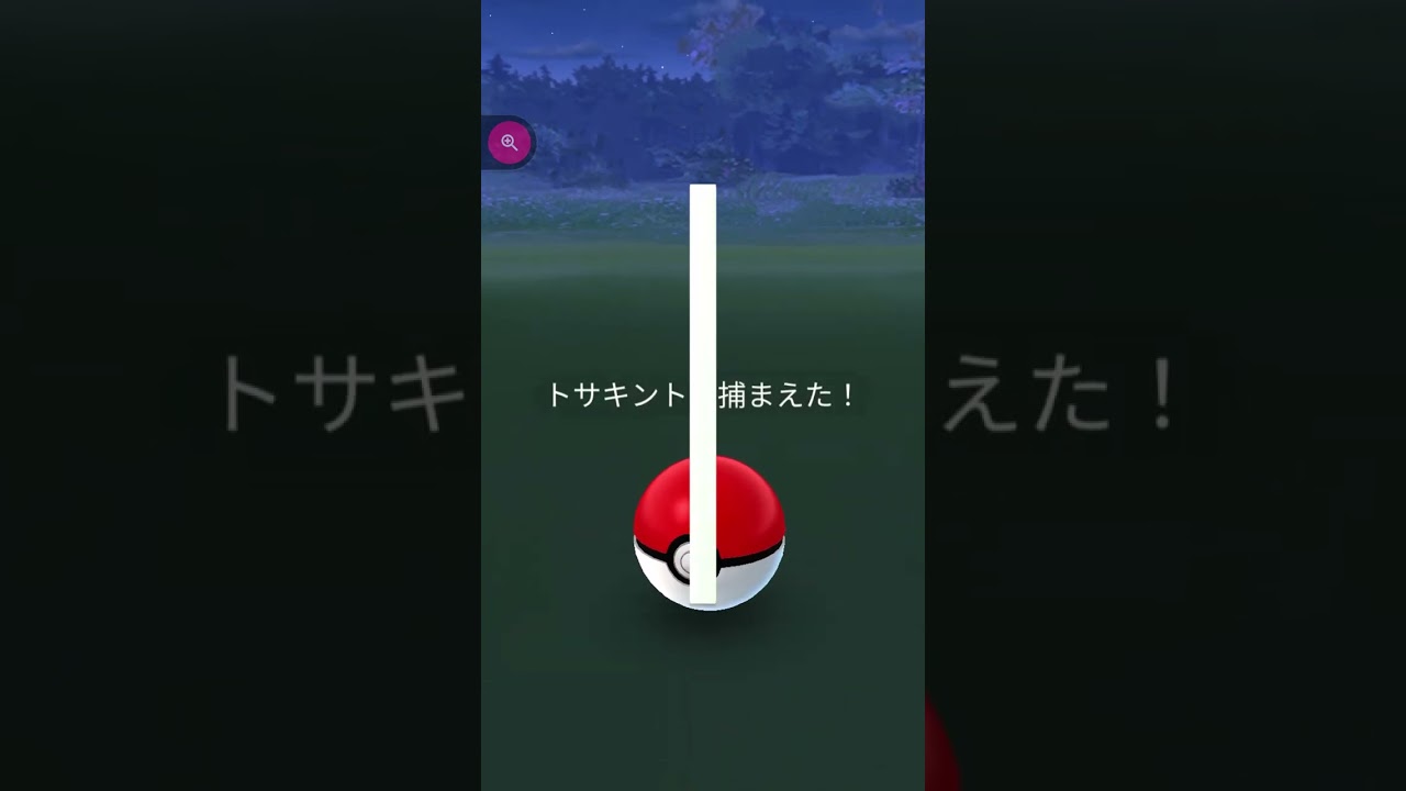 ＃shorts◇野生のトサキント♂と♀の違いはツノの長さ【色違いで見る♂と♀の違い】＃425