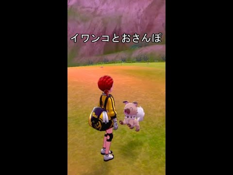 イワンコとおさんぽ【ポケットモンスターシールド】#Shorts