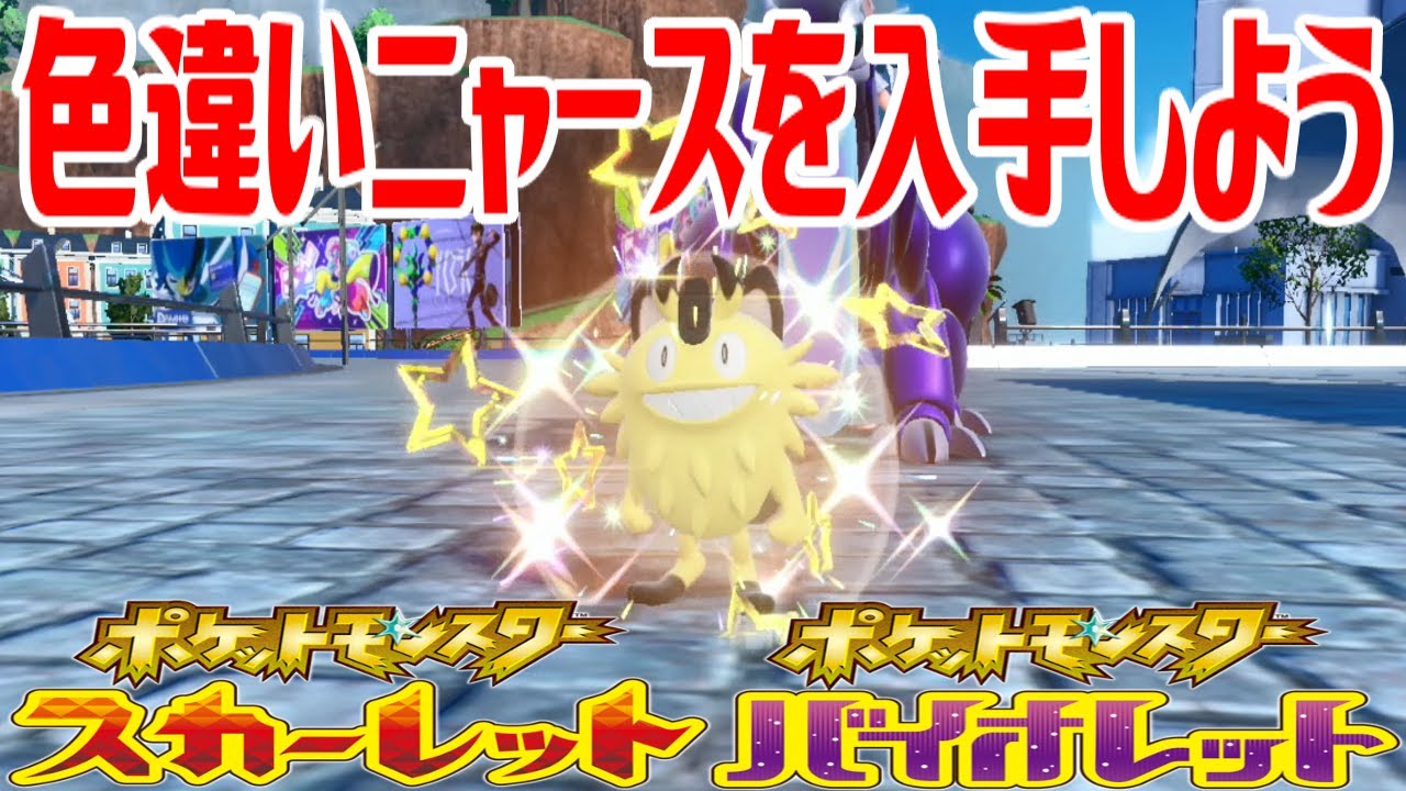 【ポケモンSV】色違いニャース(ガラルのすがた･ガラルニャース)を入手しよう タマゴふか(タマゴ孵化)【ポケットモンスター スカーレット・バイオレット】Pocket Monsters
