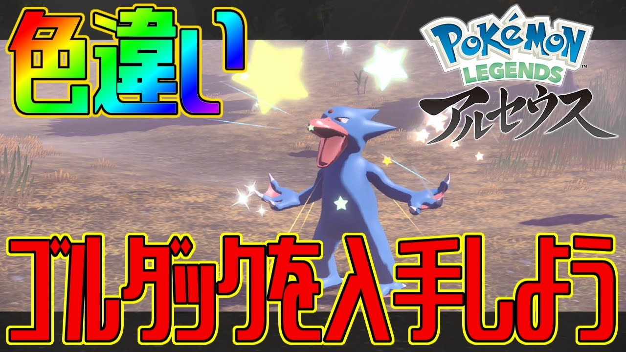 【ポケモンアルセウス】色違いゴルダックを入手しよう【Pokémon LEGENDS アルセウス】