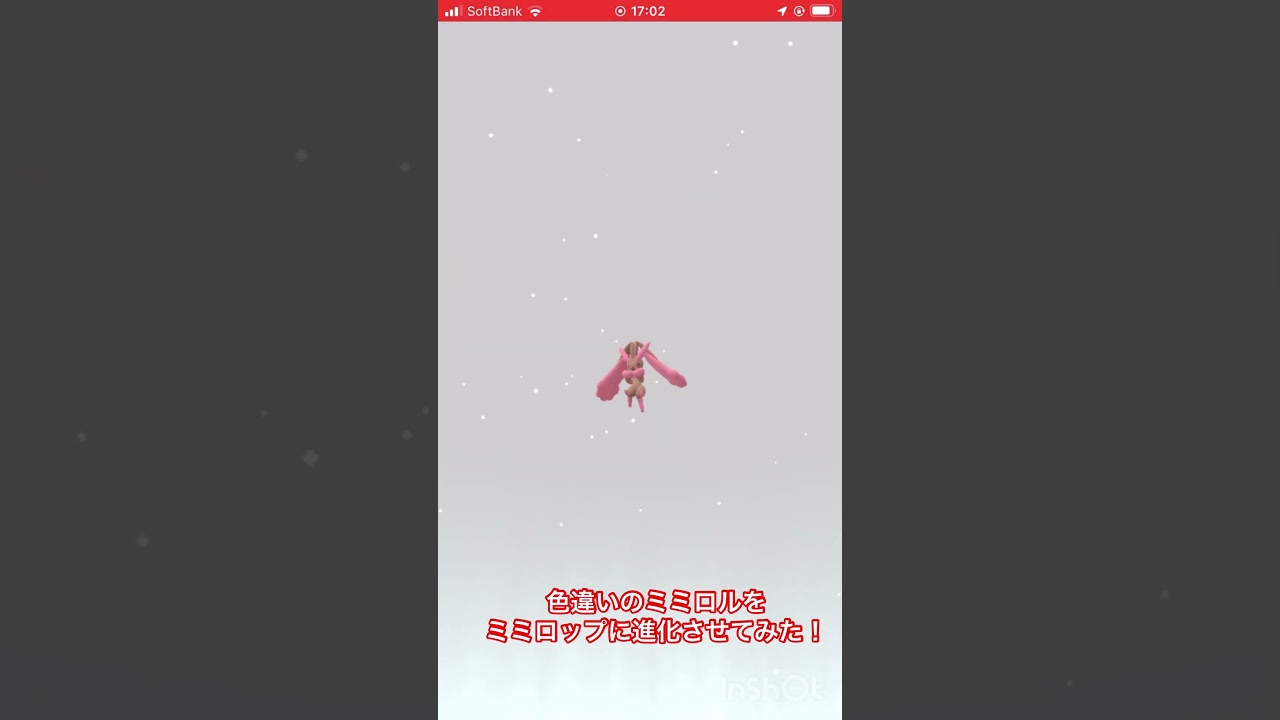 色違いのミミロルをミミロップに進化させてみた！ #ポケモンgo #pokmongo #色違い #shorts