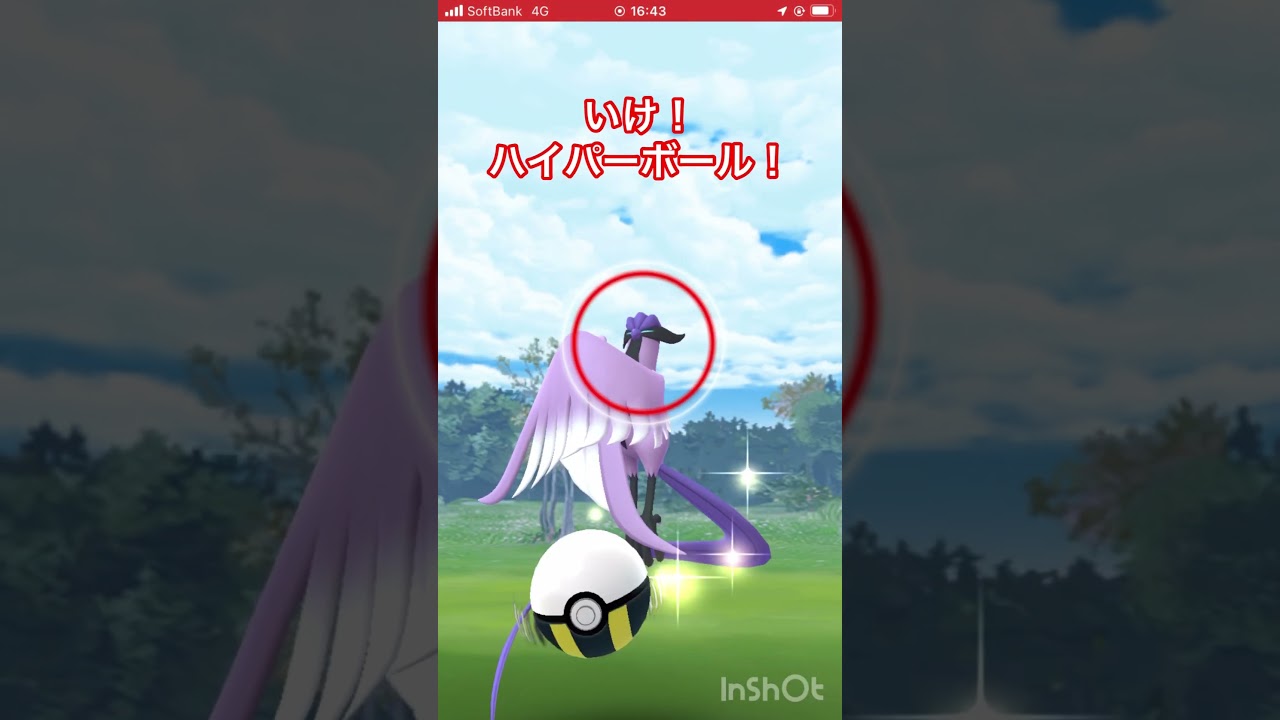 【おさんぽおこう】ガラルフリーザーに遭遇！ #ポケモンgo #pokmongo #おさんぽおこう #ガラル三鳥 #shorts
